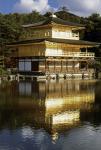 Kinkaku-ji o Il Padiglione d'oro